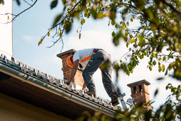 Best Roof Gutter Cleaning  in Rouse, CA