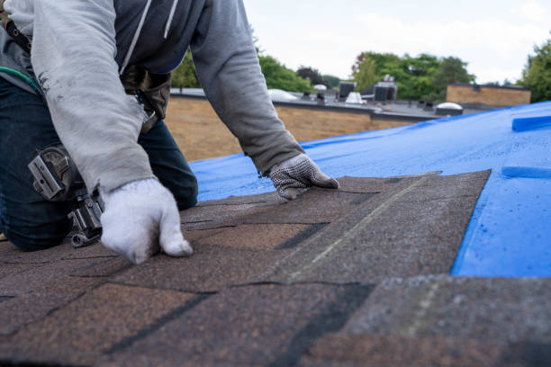 Best Roof Repair Specialists  in Rouse, CA